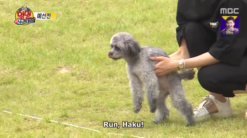 201003 idol woof woof athletics championships chuseok special