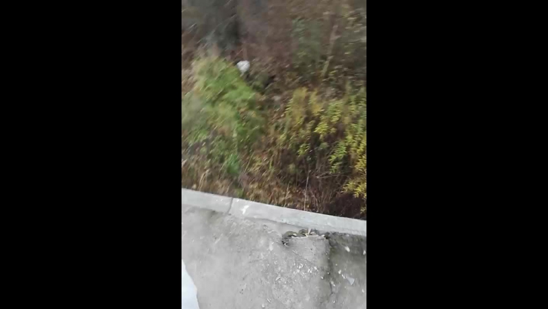 Обкатка полигона