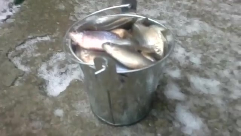 Зимняя рыбалка! угарное видео!