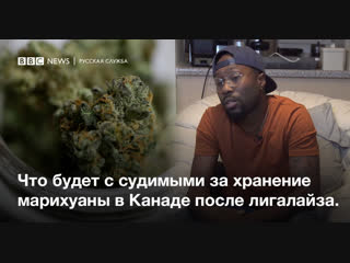 Легалайз что будет с осужденными за хранение марихуаны в канаде