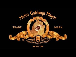Metro goldwyn mayer