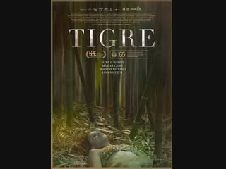 Tigre (2017) by ulises porra (as ulises porra guardiola) and silvina schnicer