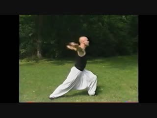 Qi gong power exercises (комплекс силовых упражнений)