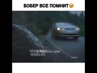 Бобёр все помнит