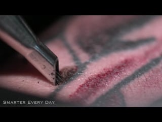 Tattooing close up (in slow motion) smarter every day 122