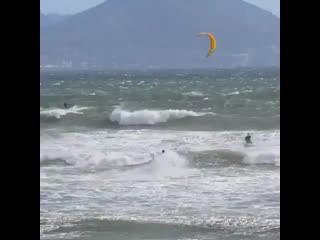 Wma wilson 20200213 2 mp4