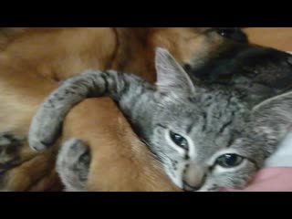 Vid 20201212 182122 mp4