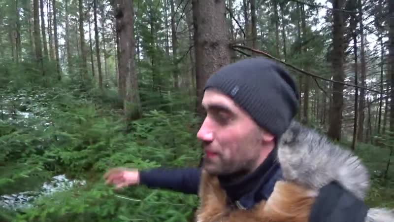 [vitalik ignatyuk] выжить в горах! 24 часа! ловля форели самодельным луком строю шалаш