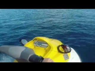 Disha patani on instagram