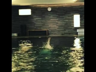 [video] 170214 sehun @ sehun instagram update