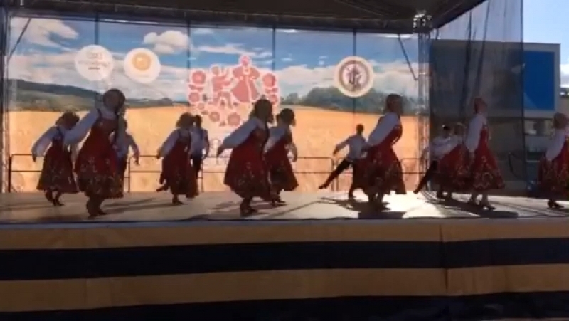 Тнпит смоленский гусачок