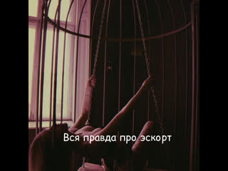 Вся правда про эскорт