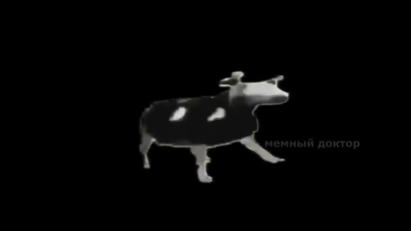 Блэт видосы