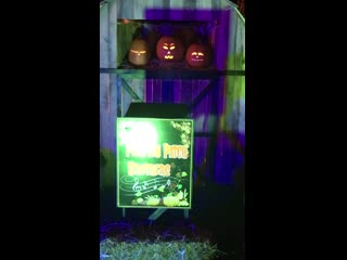 Amusement park near me has “singing” pumpkins for halloween gave me a chuckle