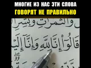 Video kruso 20210107102921115 mp4