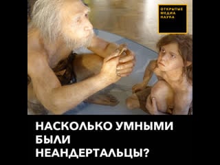 Насколько умными были неандертальцы?