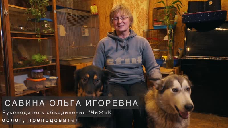 Чижик (общий ролик без муз)