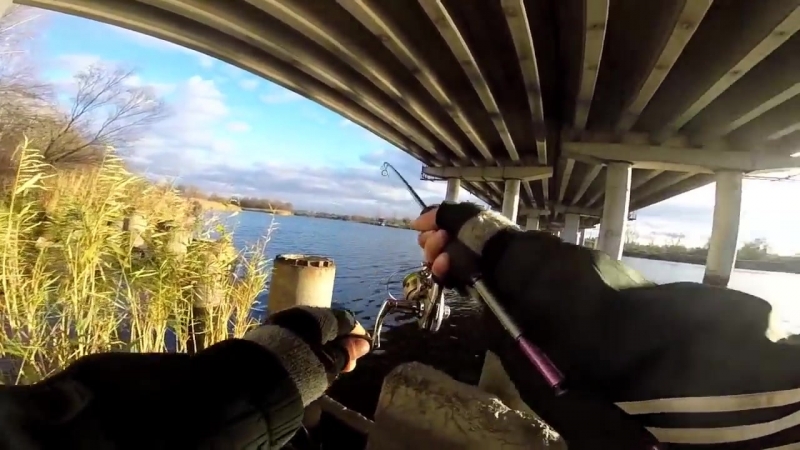 Неожиданная поклеа