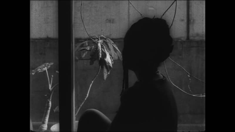 園子温 部屋 [sion sono heya], 1992