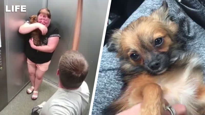 Избитую в лифте молодые изъяли у хозяев