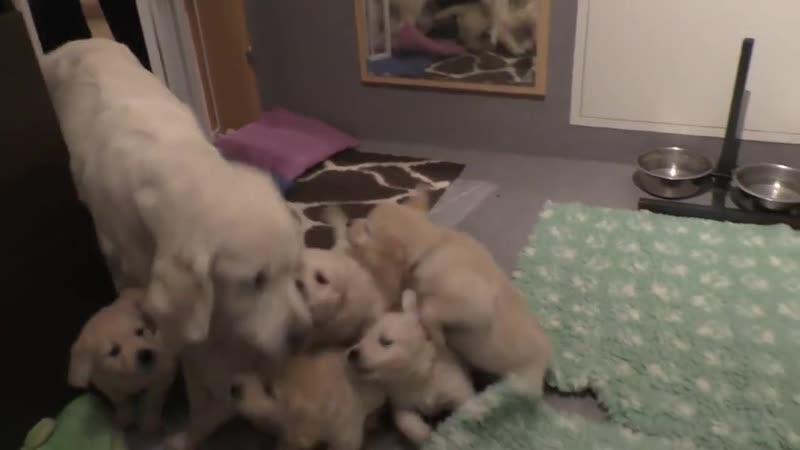 Воспитание терпения