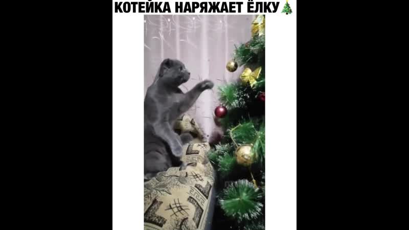 Хейтеры скажут обратная сьемка😂