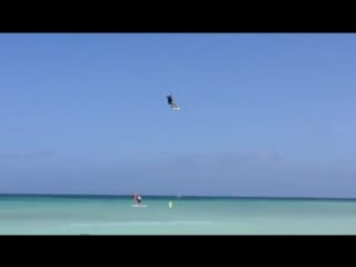 Its all about having a blast hendrick burgers