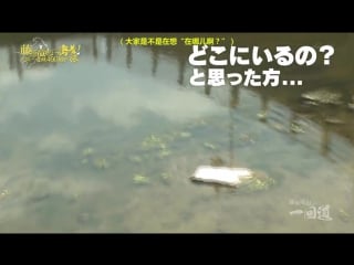 Fujiwara tatsuya no ikkaidou 5