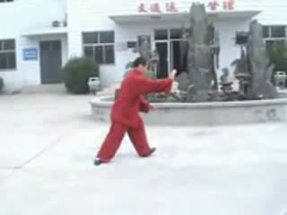 杨班侯108式太极拳 正向演练 - BEST XXX TUBE