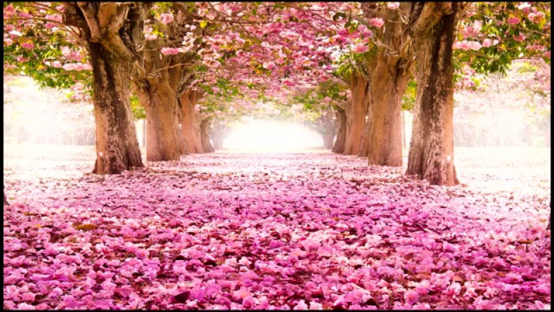 Медитация наполнение сексуальной энергией