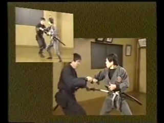 Masaaki hatsumi bujinkan mutodori u9qdeiojfkc fmt43