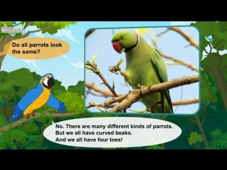 Meet the porn 37 parrot level 2 by little fox