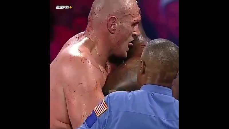 «я хочу попробовать молодые деонтея уайлдера на ус» до боя тайсон фьюри во время боя