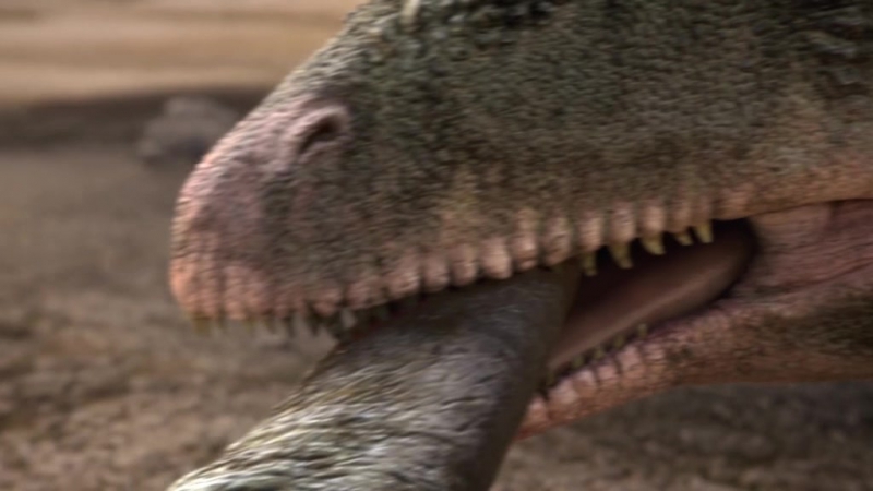 Әйелім жылағанша анальный секс