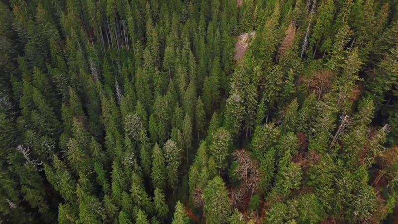 Синевир і говерла україна моя країна