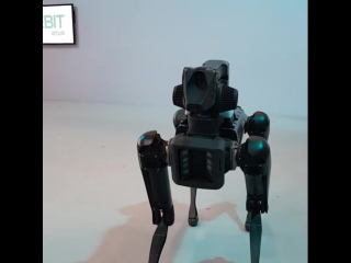 Spotmini (boston dynamics) на cebit 2018 (5)