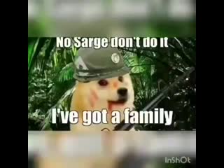 Dogge vietnam