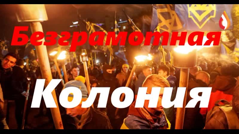 Безграмотная колония обезьян