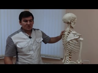 Отложение солей и остеохондроз the deposition of salts and low back pain