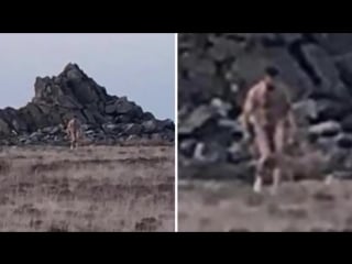 Mysterious naked feral man observed in wales