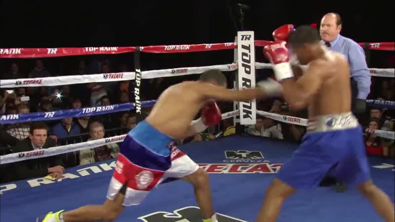 Феликс вердехо / felix verdejo highlights