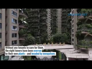 Qiyi city forest garden residential buildings complex in chengdu, china