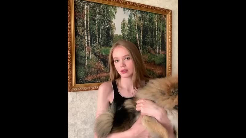 Zlata platon 6 ceuz5eshjab mp4