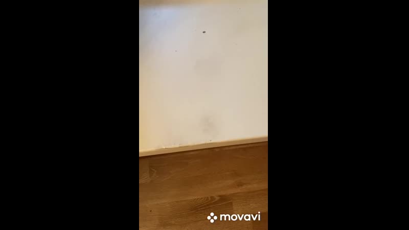 Greenway porn video – Видео от экотовары greenway (гринвей) спб