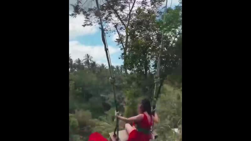 Беспощадные качели