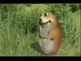 Хомяк флексит под diggy diggy hole