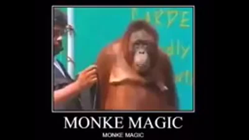 Monke magik