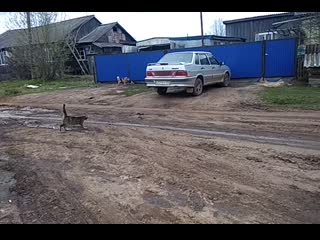 Vid 20200502 154037 mp4