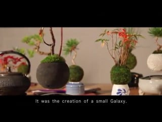 Floating bonsai trees are now a reality