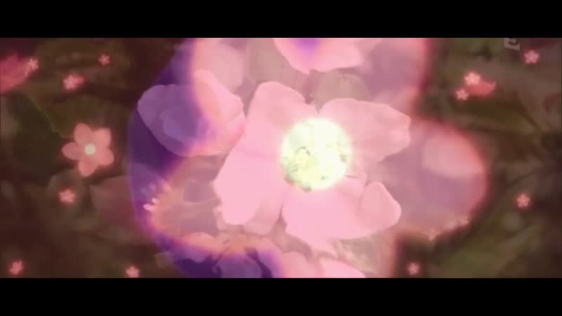 For appearance day of srila bhaktivedanta padmanabha swami maharaja